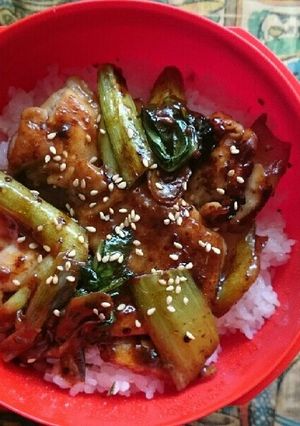 簡単♪鶏肉の回鍋肉味丼弁当-レシピのメイン写真
