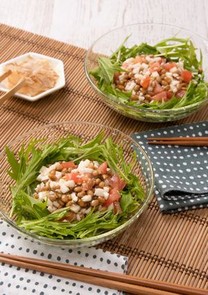 もずくと納豆のネバネバサラダ-レシピのメイン写真