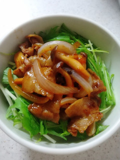 豚バラ肉と水菜の甘辛丼-レシピのメイン写真