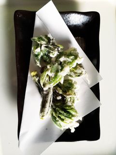 山菜コシアブラの天ぷら-レシピのメイン写真