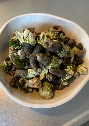亀の手塩茹で-レシピのメイン写真