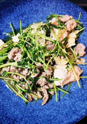 プラス一品☆豆苗と豚肉の炒め物-レシピのメイン写真