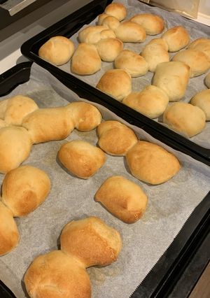 丸パン-レシピのメイン写真