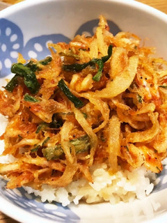 簡単!生桜えびと新玉ねぎのかき揚げ丼-レシピのメイン写真