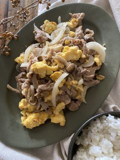 豚肉と新玉ねぎの卵炒め-レシピのメイン写真