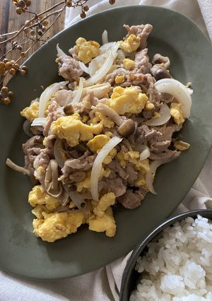 豚肉と新玉ねぎの卵炒め-レシピのメイン写真