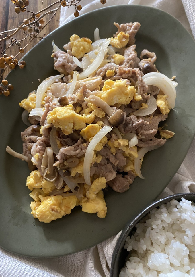 豚肉と新玉ねぎの卵炒め-レシピのメイン写真