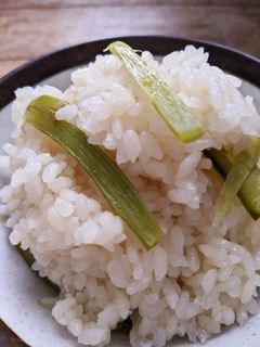 春の香り ウドの炊き込みご飯-レシピのメイン写真
