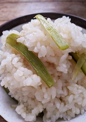春の香り　ウドの炊き込みご飯-レシピのメイン写真