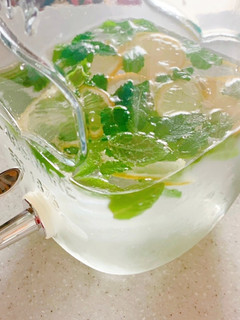 ミントレモン水-レシピのメイン写真
