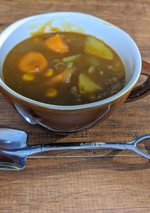 一人暮らしʕ·ᴥ·ʔ初めてのカレー-レシピのメイン写真
