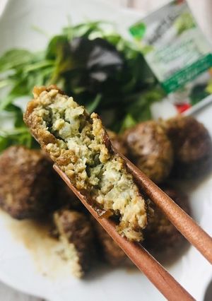 CA産スピルリナ 鶏バーグ-レシピのメイン写真