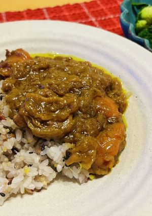 玉ねぎとりんごの水分で作るおいしいカレー-レシピのメイン写真