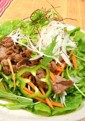 モリモリ野菜と焼肉サラダ-レシピのメイン写真