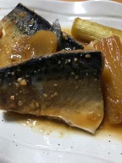 さばの味噌煮-レシピのメイン写真