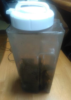 昆布水-レシピのメイン写真