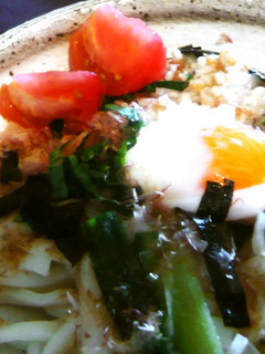 冷んやりサラダうどん-レシピのメイン写真
