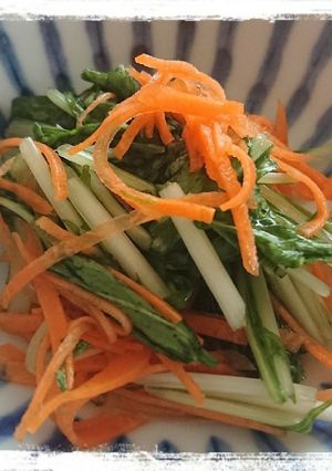 市販の浅漬けの素で水菜とにんじんの浅漬け-レシピのメイン写真
