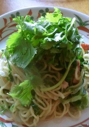 ちょっパリ!タイ風?焼きそば-レシピのメイン写真