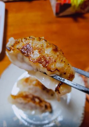 手作りおうち餃子-レシピのメイン写真