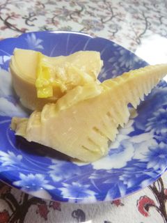 タケノコの塩麹煮-レシピのメイン写真