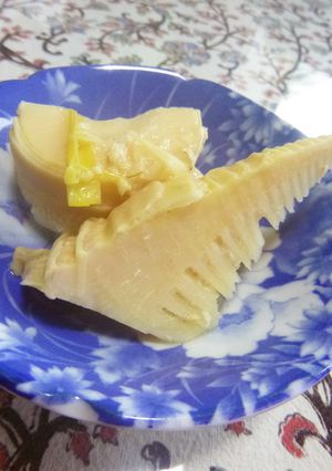タケノコの塩麹煮-レシピのメイン写真