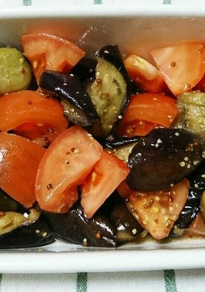 なすとトマトのマリネ-レシピのメイン写真