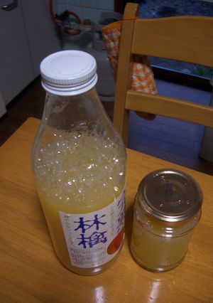 自家製酵母（りんご）-レシピのメイン写真