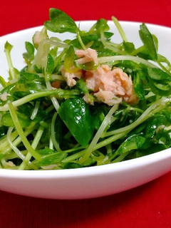 豆苗のツナ合え-レシピのメイン写真
