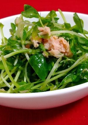 豆苗のツナ合え-レシピのメイン写真