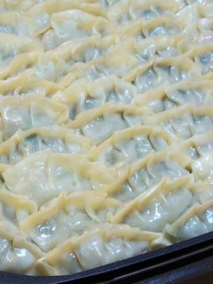 ホットプレートで餃子60個-レシピのメイン写真