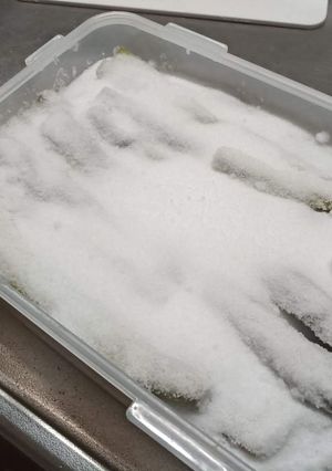 えんにょの塩蔵 (にょうさく えぞにゅう-レシピのメイン写真