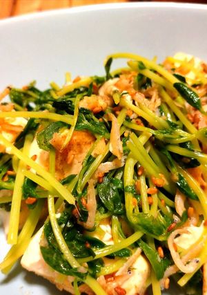 豆苗 豆腐 シラス ◎ 炒め-レシピのメイン写真