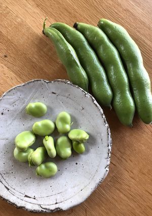 空豆のさやの剥き方-レシピのメイン写真
