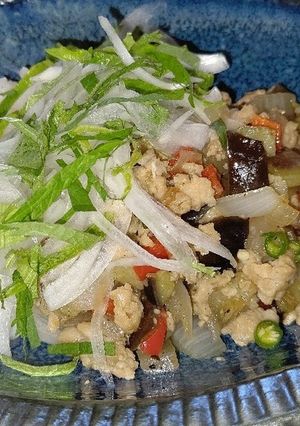 夏の和ガパオ-レシピのメイン写真