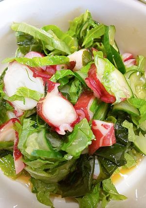蛸の酢の物-レシピのメイン写真