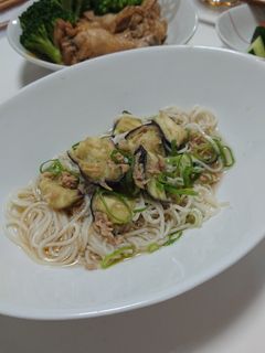 ☆なすとツナのぶっかけ素麺☆-レシピのメイン写真