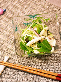 さっぱりイカと水菜のレモンポン酢和え-レシピのメイン写真