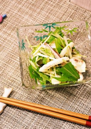 さっぱりイカと水菜のレモンポン酢和え-レシピのメイン写真