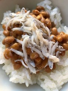 納豆としらすのご飯-レシピのメイン写真