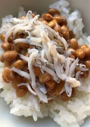 納豆としらすのご飯-レシピのメイン写真