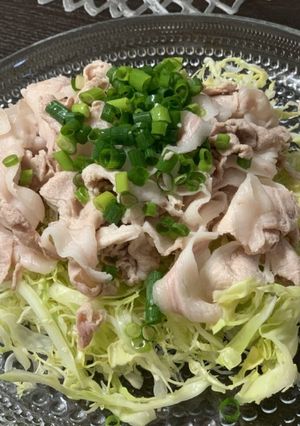 しっとり、やわらかな冷しゃぶサラダ-レシピのメイン写真