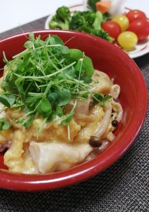 味付け不要！さっぱり親子丼-レシピのメイン写真