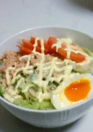 サッパリ冷んやり☆サラダうどん-レシピのメイン写真