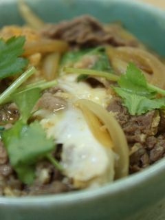 他人丼(丼ものつゆの黄金比)-レシピのメイン写真