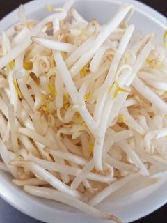 もやしの保存法-レシピのメイン写真