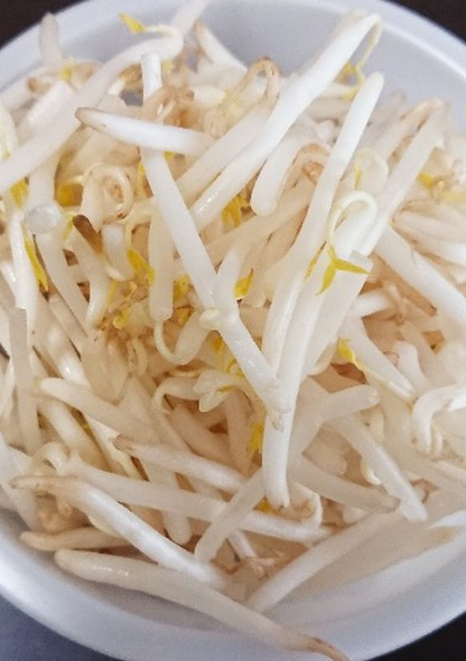 もやしの保存法-レシピのメイン写真