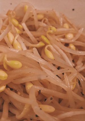 絶品！簡単！もやしのナムル-レシピのメイン写真