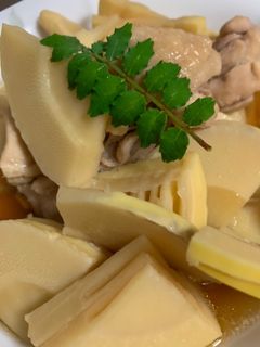 たけのこと鶏肉の煮物-レシピのメイン写真