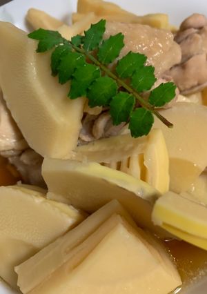 たけのこと鶏肉の煮物-レシピのメイン写真